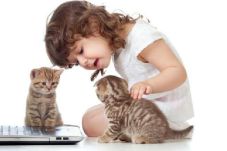 Anak yang Pelihara Kucing...