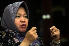 Djarot: Risma Itu Jurkamnas...