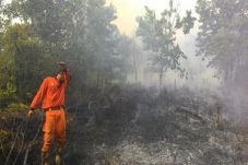 Kebakaran di Riau Mulai...