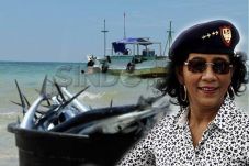 Mafia Illegal Fishing...
