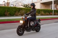 Honda Ruckus Motor Matic...