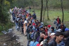 Politisi Jerman: Migran...