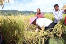 Upaya Menjadikan Tapanuli...