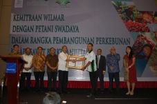 2.700 Petani Sawit Swadaya...