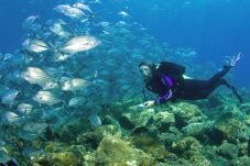 Diver Gathering 10th...