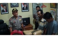 24 Kg Ganja Diamankan...