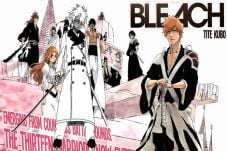 Bleach Tamat, Penulis...