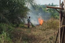 Anak dan Bapak Ditangkap...