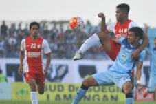 Antisipasi Tandukan...