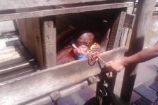 Bupati Barito Timur...