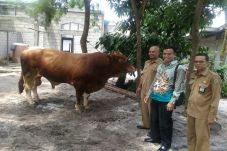 Idul Adha, Jokowi Kirim...
