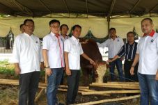 Idul Adha, Partai Perindo...