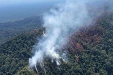 Hutan Lindung Bukit...