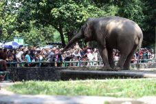 Idul Adha, Ragunan Diserbu...