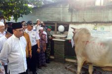 Menhub Budi Karya Kurban...