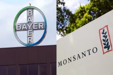 Bayer Setuju Membeli...