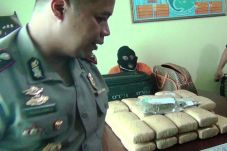 Bawa Ganja 31 Kg, Kakek...