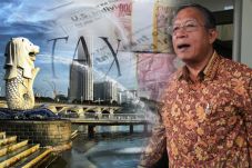Soal Tax Amnesty, Darmin...