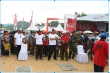 Ini Keseruan Festival...