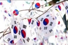 Korea Festival 2016...