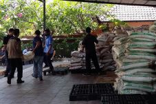 Selundupkan 30 Ton Bahan...