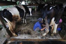 Tingkatkan Penghasilan,...