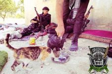 Fatwa ISIS: Kucing Dilarang...