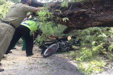 Pengendara Motor Tewas...