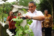 Pemerintah Gelar Expo...