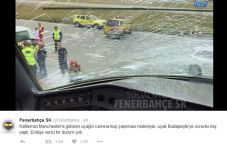 Tabrak Burung, Pesawat...