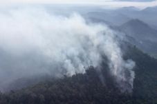 Hutan Lindung di Kampar...