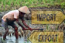 Banjir Kritikan, Pemerintah...
