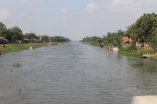 Sungai Cilamaya Tercemar,...