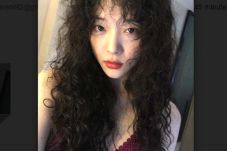 Rambut Gimbal, Sulli...