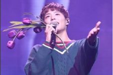Wow, Park Bo Gum Akan...
