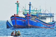 In 2016, 163 Boats Seized...