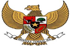 Profesor Australia:...