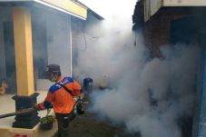 Fogging, Bukti Komitmen...
