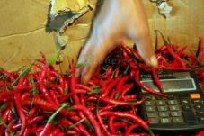 Harga Cabai Meroket...