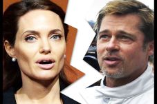 Jolie-Pitt Agreed Seal...
