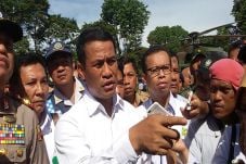 Mentan Amran: Harga...