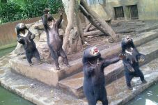 Petition Ask Bandung...