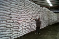 Stok Pupuk Subsidi Tahun...