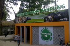 Empat Beruang Kebun...