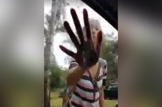 Kenakan Niqab, Muslimah...