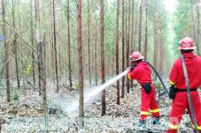 For Fire Management,...