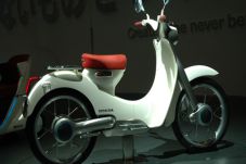 Keluarga Cub Series...
