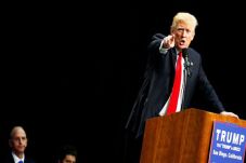 Trump: Federal Judges...