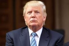 Ternyata Rambut Donald...