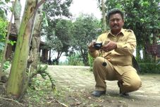 Buah dan Jantung Pisang...